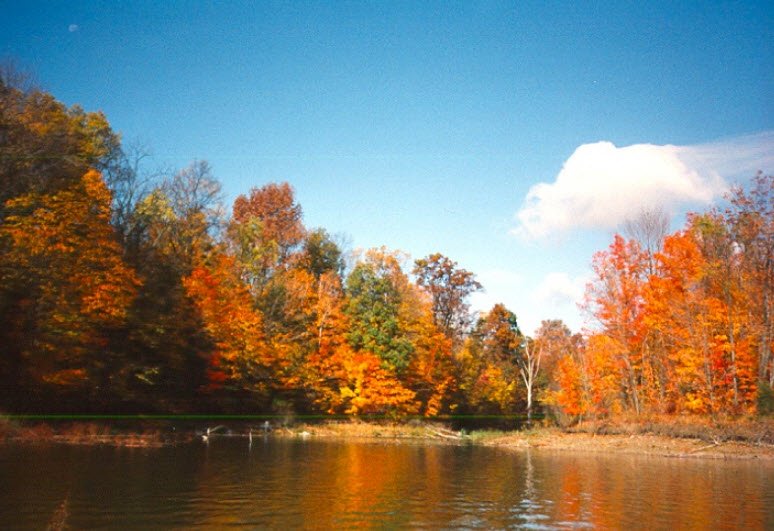 Alum Creek State Park, Ohio, USA